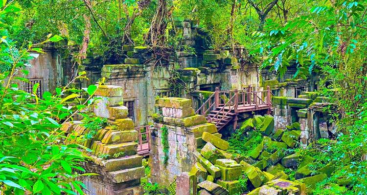Begroeid oude ruïnes in de jungle.