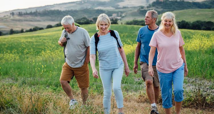 Quatre randonneurs d'âge mûr profitent d'une promenade ensoleillée à travers une prairie fleurie dans les collines toscanes.