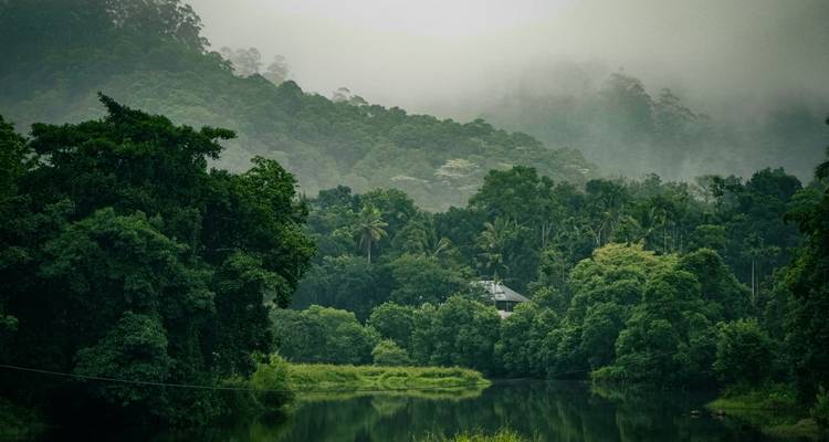 Misty rainforest landscape reflected in a still river in southern India.