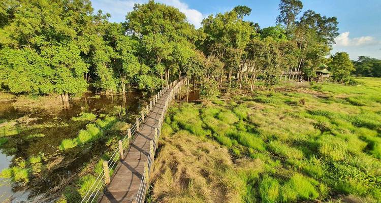 Une passerelle en bois menant dans une forêt dense près d'une rivière.