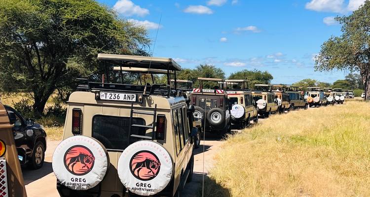Safari vehicles lined up on a dirt path.