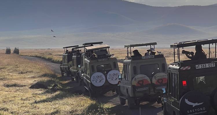 Safari vehicles on a dirt path in a foggy savanna.