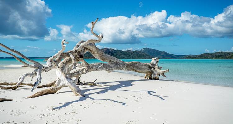Weißer Sandstrand mit Treibholz, Berge in der Ferne.