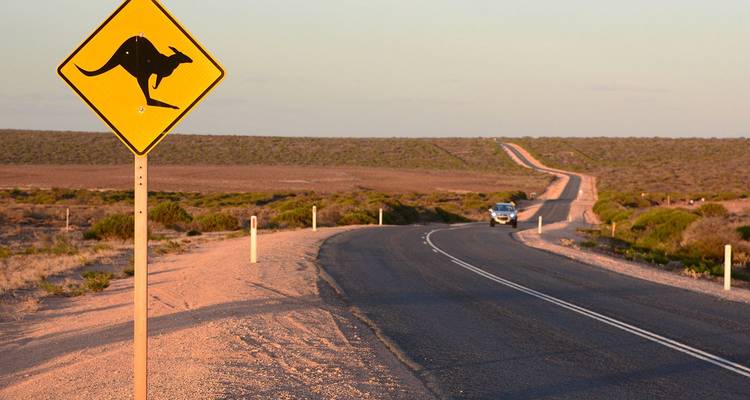 Largo camino vacío que serpentea por el outback australiano con un cartel amarillo de cruce de canguros y un auto solitario a la distancia