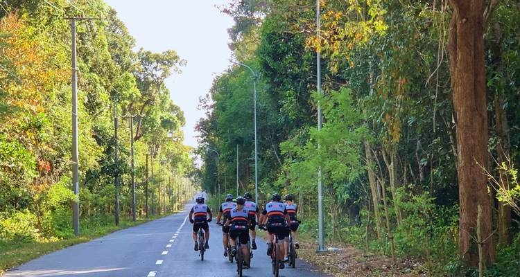 Fietsers rijden door een beboste weg.