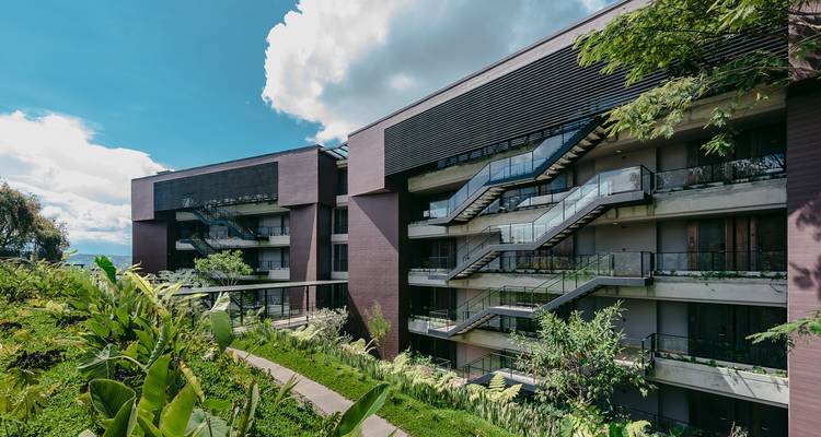 Hotel contemporáneo de varios pisos rodeado de vegetación tropical bajo cielos azules.