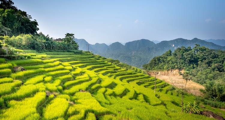 Terrasvormige rijstvelden op een heuvel met bergen in de verte.