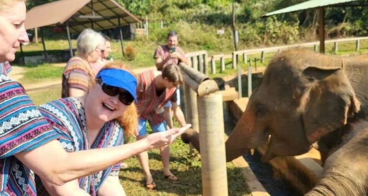 Turistas alimentando y acariciando un elefante en un santuario con movimiento desenfocado y sol brillante.