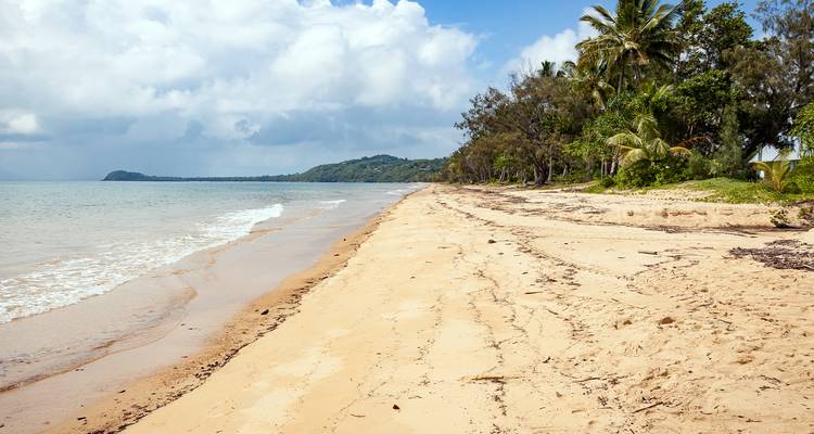 Zandstrand met palmbomen en beboste heuvels.