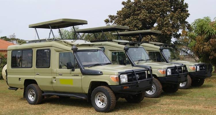 Drei Safari-Jeeps, die auf einer Grasfläche geparkt sind.