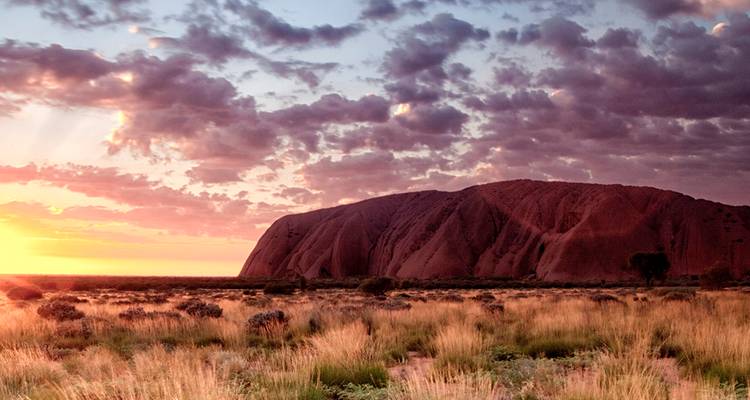 Uluru glows red under a colourful sunrise sky above golden grassland.