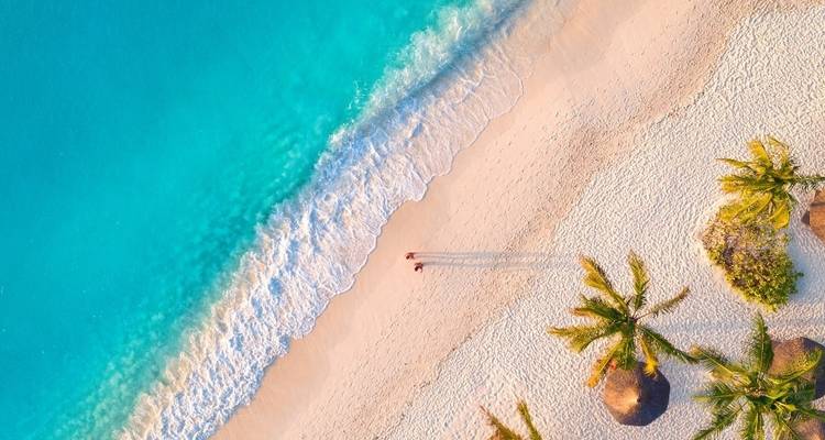 Aerial view of a pristine beach with palm trees and clear blue water.