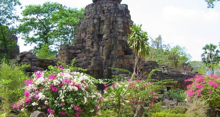 Oude stenen structuur omringd door bloeiende planten.