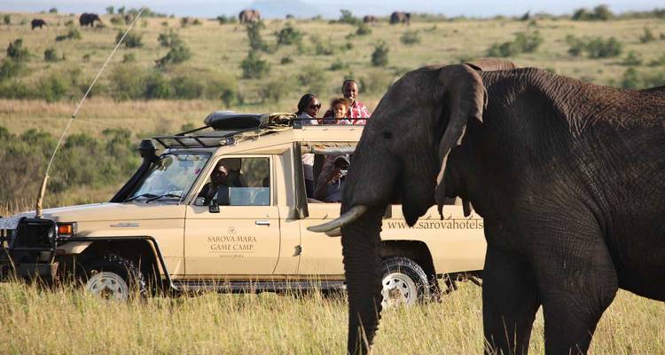 A safari vehicle near an elephant with tourists observing.