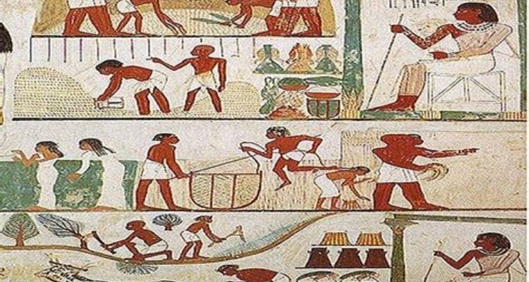 Oude Egyptische kunstwerken die taferelen uit het dagelijks leven uitbeelden.