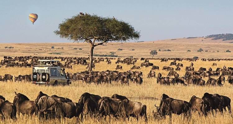 Heißluftballon über einer weiten Landschaft mit einem Safari-Fahrzeug und Gnus.
