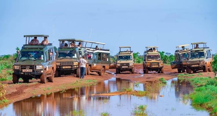Safari-Fahrzeuge stehen auf einer schlammigen Straße nach dem Regen.