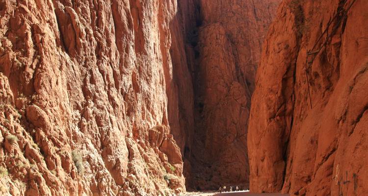 Eine dramatische Schlucht mit steilen Felswänden und einem schmalen Pfad.