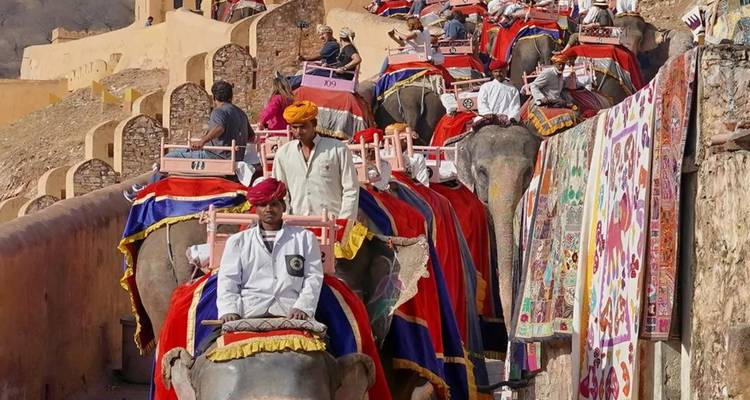 Elephants with riders at Amber Fort