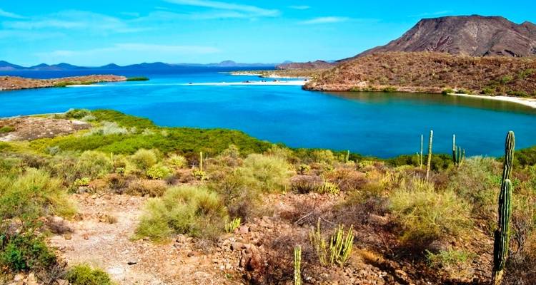 Eine ruhige Küstenlandschaft mit türkisfarbenem Wasser und Wüstenvegetation.