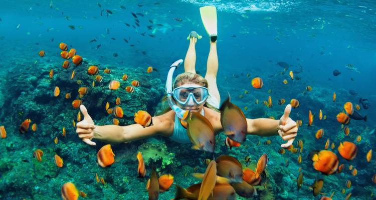 Ein Schnorchler unter Wasser, umgeben von lebhaften Fischen.