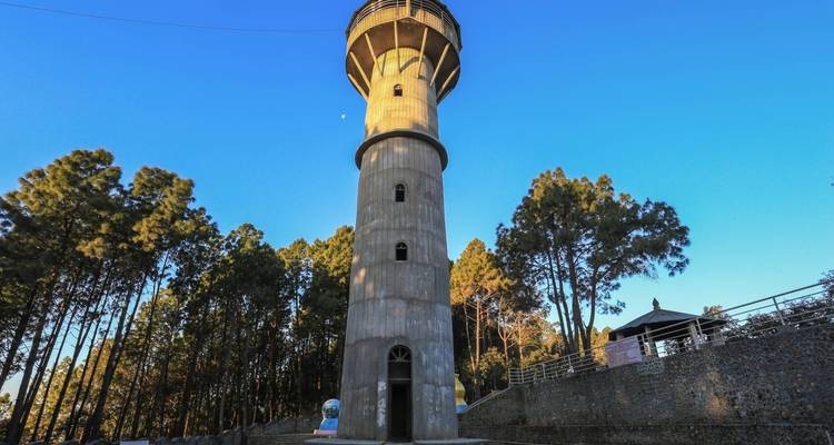Concrete tower amidst tall trees, sky is clear.