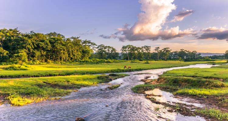 Un arroyo tranquilo serpenteando por llanuras verdes bajo un cielo vespertino lleno de colores en Chitwan.