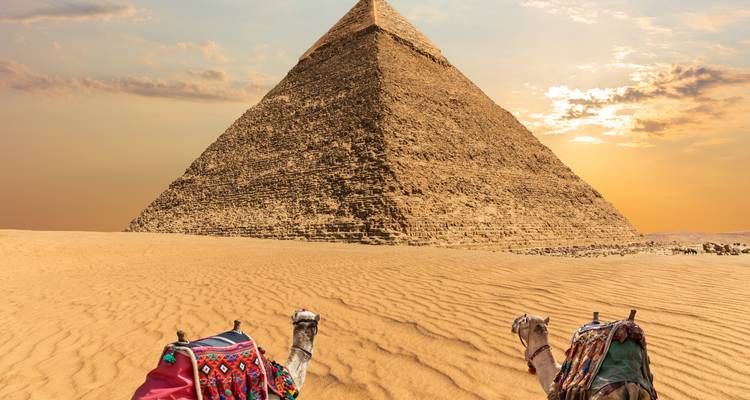 Zwei Kamele ruhen vor einer Pyramide während des Sonnenuntergangs in Giza.
