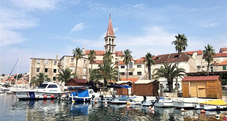 Coastal town with boats and palm trees by the water.