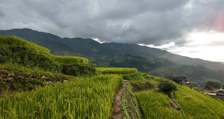 Exuberantes arrozales verdes con montañas distantes en Mu Cang Chai, Vietnam.