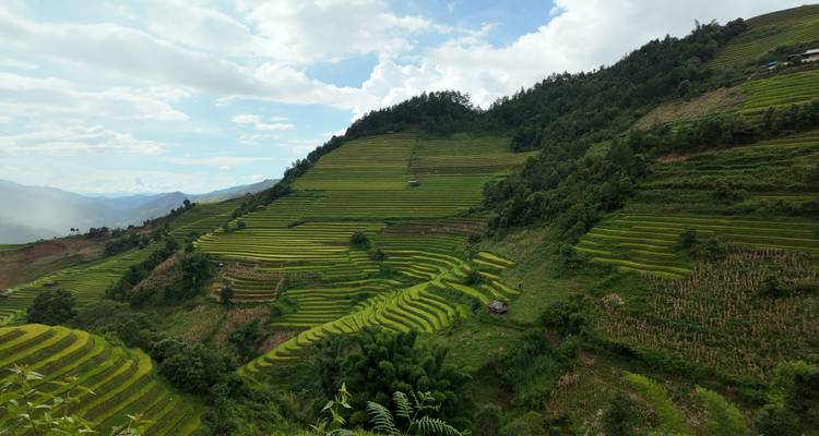 Campos de arroz en terrazas y montañas bajo un cielo azul en Mu Cang Chai, Vietnam.