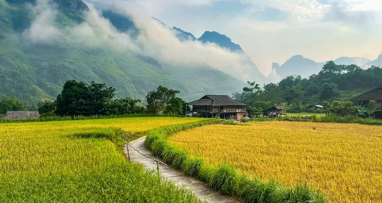 Schilderachtig landelijk landschap met velden en bergen in de mist.
