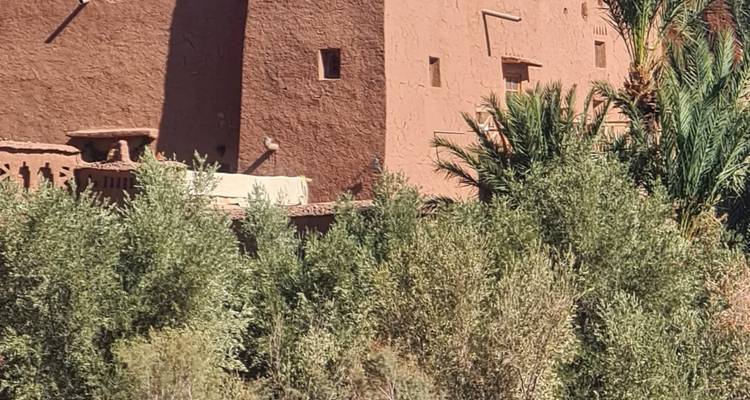 Ein traditionelles marokkanisches Gebäude, umgeben von Grün.