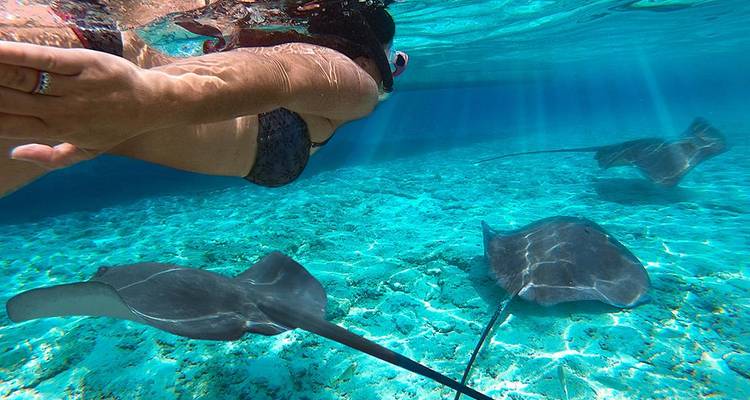 Une personne faisant de la plongée avec tuba avec des raies pastenagues dans une eau cristalline.