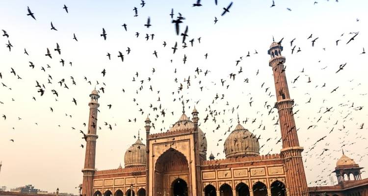 Jama Masjid in Delhi met een zwerm vogels in de lucht.