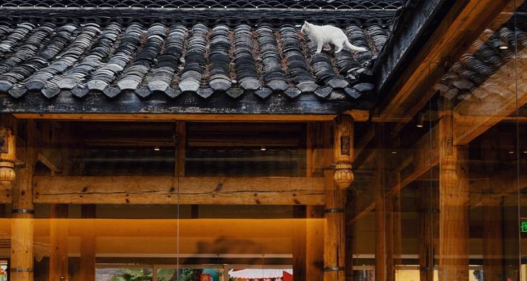 Traditioneel houten gebouw met een kat die op het dak loopt.