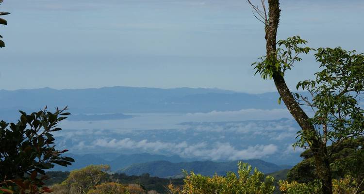 Vue panoramique de montagnes brumeuses aperçue à travers les branches de la forêt avec des couches de crêtes et des nuages épars en dessous.