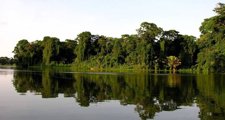 Lagon de forêt tropicale calme bordé d'une végétation verte dense se reflétant dans l'eau au Parc national de Tortuguero.