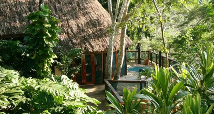 Lodge de jungle aux toits de chaume entouré d'une végétation luxuriante et verdoyante avec terrasse en bois et petite piscine.