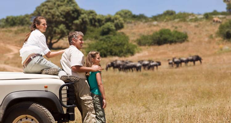Gezin bekijkt wilde dieren vanuit een safariwagen