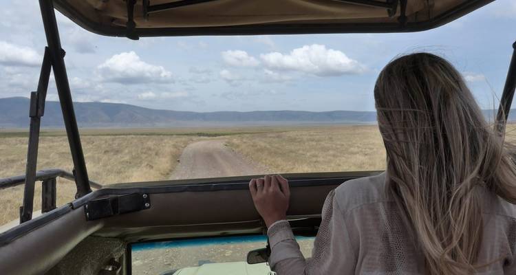 Persoon die in een safariwagen staat en naar het landschap kijkt