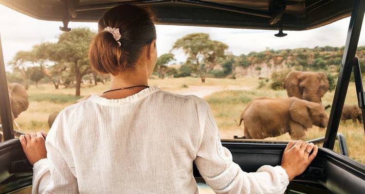 A woman in a safari vehicle looking at elephants in the wild.