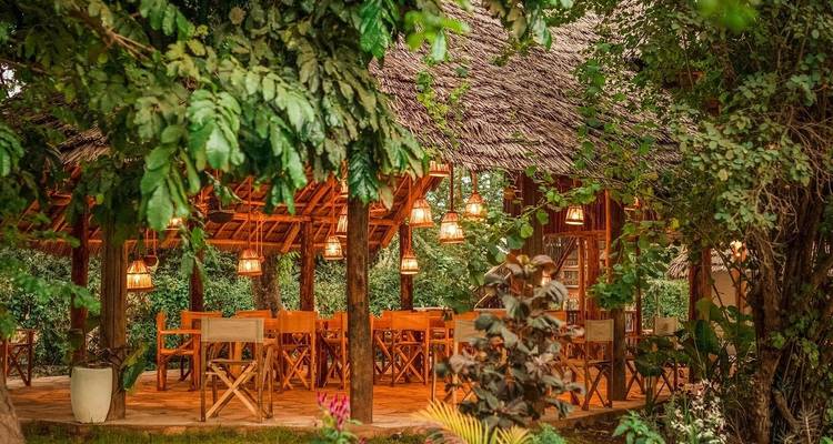 Außenbereich zum Speisen, umgeben von üppigem Grün.