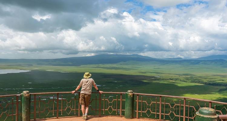 Person, die von einer Aussichtsplattform aus eine weite Landschaft überblickt.