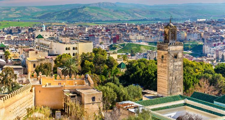 Panoramablick auf eine Stadt mit einer markanten Moschee und viel Grün.