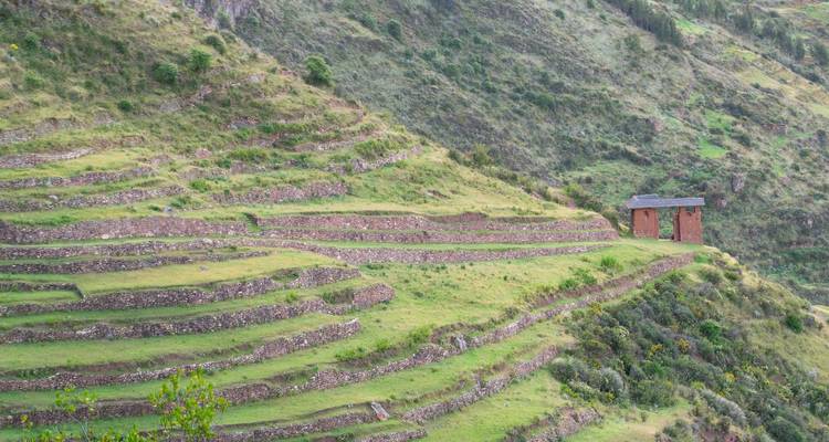 Terrasvormige velden op een heuvelflank, weelderig groen.