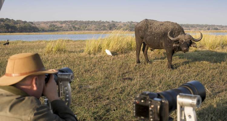 Fotografen fotografieren einen Afrikanischen Büffel in der Nähe eines Flusses.