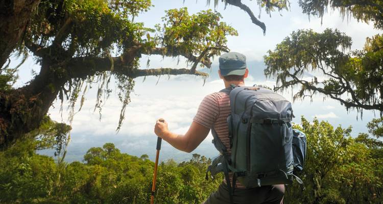 Een wandelaar met een rugzak die onder een grote boomboog staat.