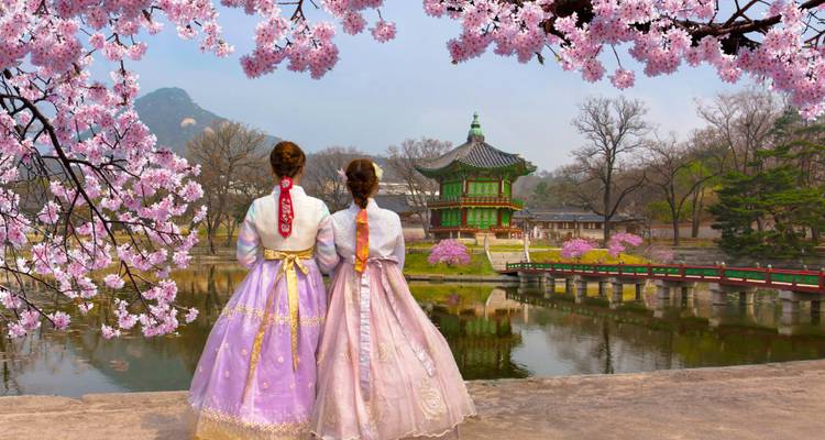Twee mensen in traditionele kleding in een park met kersenbloesems.
