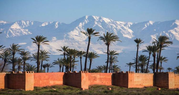 Schneebedeckte Hohe Atlas-Berge ragen hinter einer ockerfarbenen Stadtmauer empor, die mit Palmen übersät ist, unter einem klaren blauen Himmel.